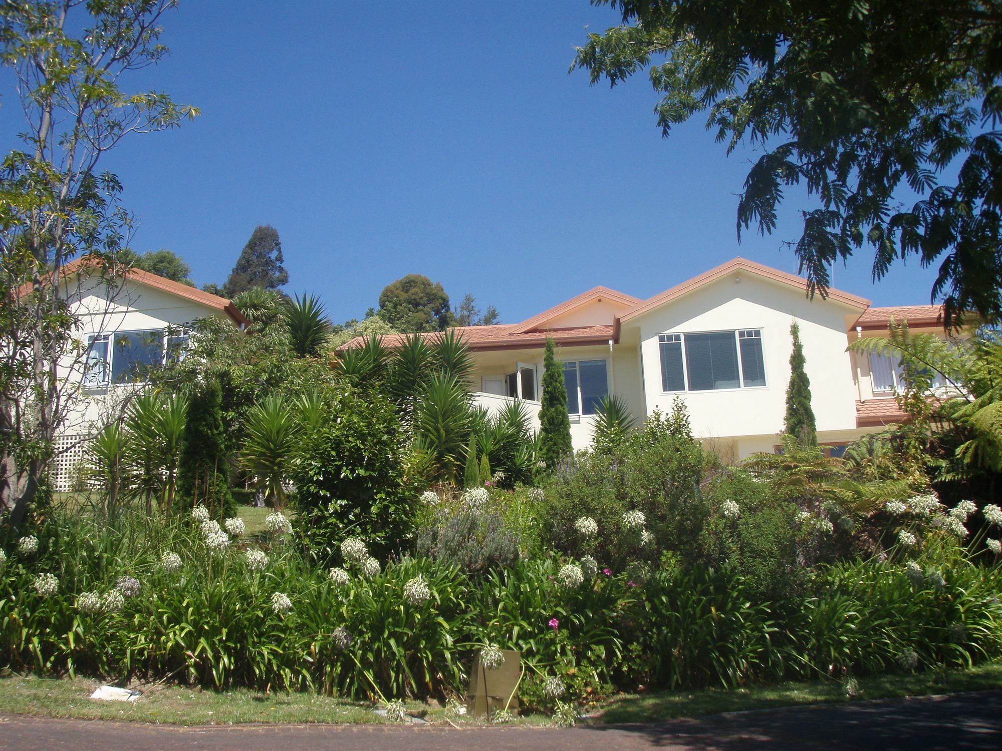 Seascape Villa B&B Ταουράνγκα Εξωτερικό φωτογραφία